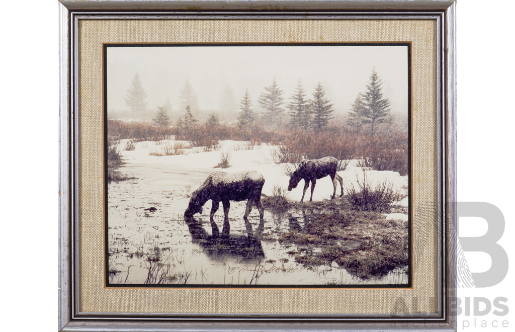 Thomas D. Mangelsen (20th Century, American), Two Framed Limited Edition Wildlife Photographs (2)