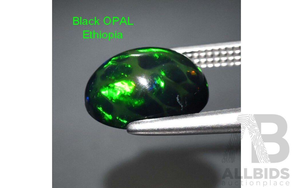 Natural Black OPAL