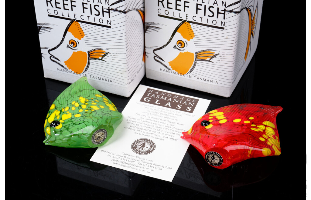 Two Hand Blown Australian Studio Art Glass Fish Figurines by James Dodson From Tasmanian Glassblowers in the Australian Reef Fish Series in Original Boxes