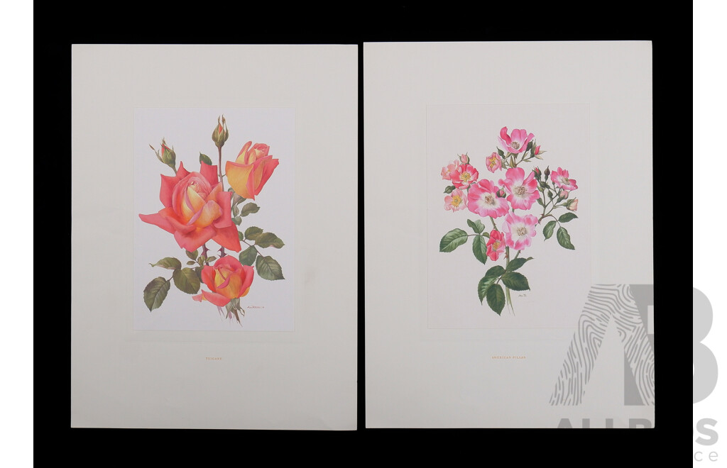 A Quantity of Watercolours and Offset Prints, Including Botanical Prints