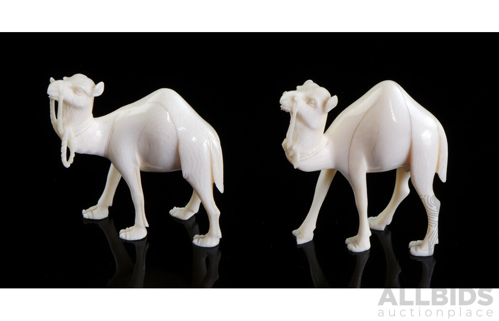 Pair Vintage Ivory Camel Figures