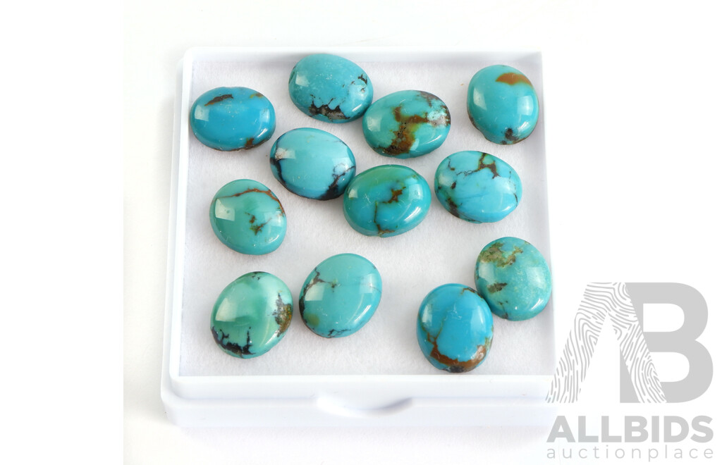 Twelve Oval Cabochons of Turquoise