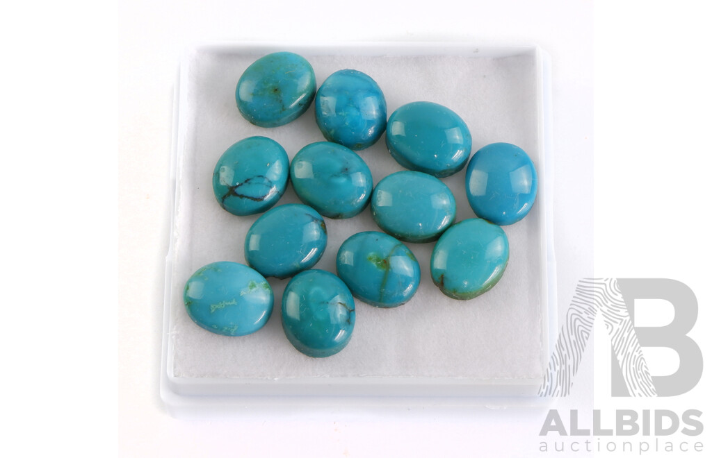 Twelve Oval Cabochons of Turquoise