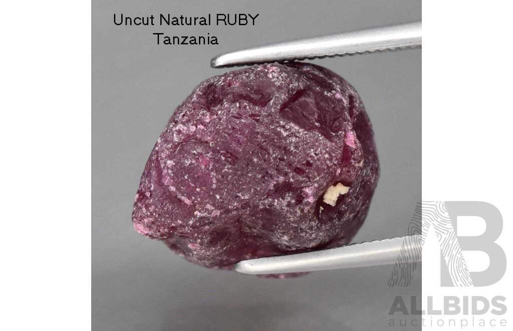 Uncut Natural RUBY - Purplish-Red