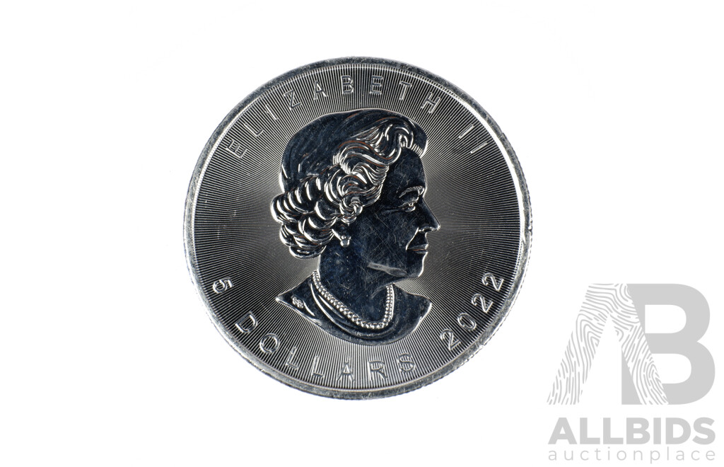 1oz Silver Canadian Maple Leaf Coin