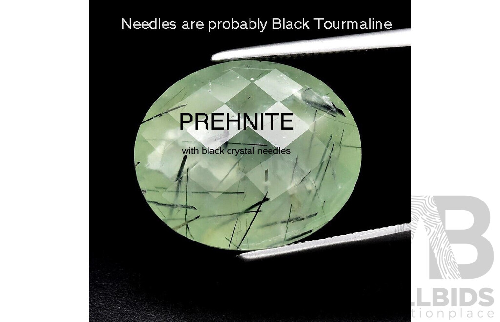 Natural PREHNITE with Black Needles