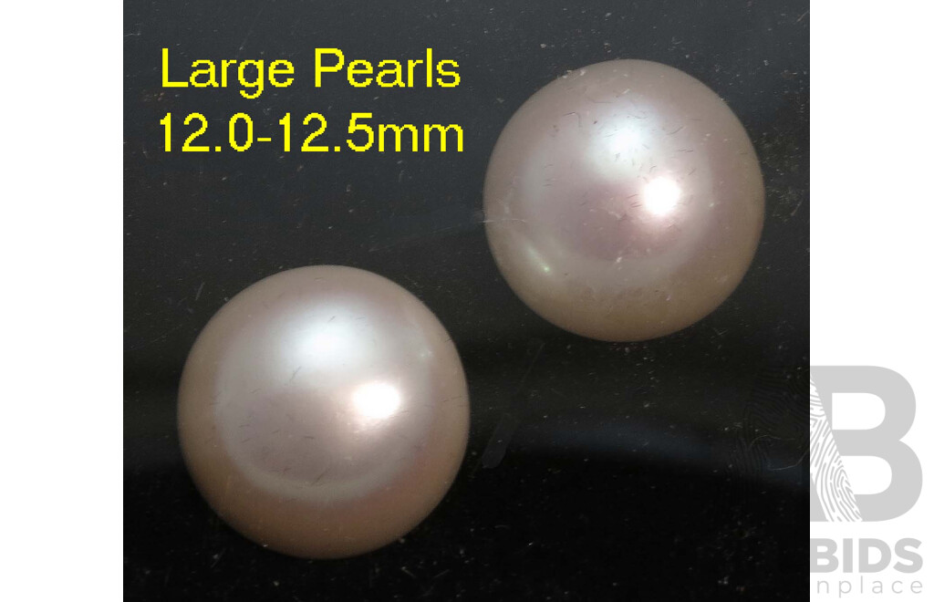 Pair of Large Freshwater Cultured Pearls