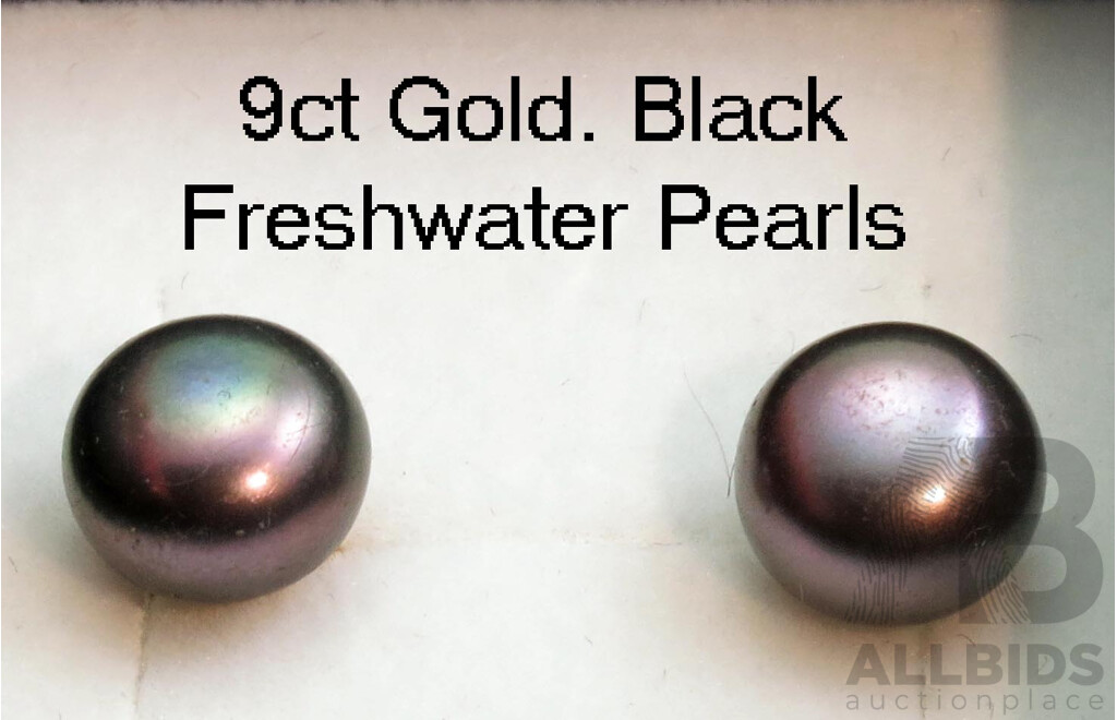 9ct Gold Earrings - Black Freshwater Pearls