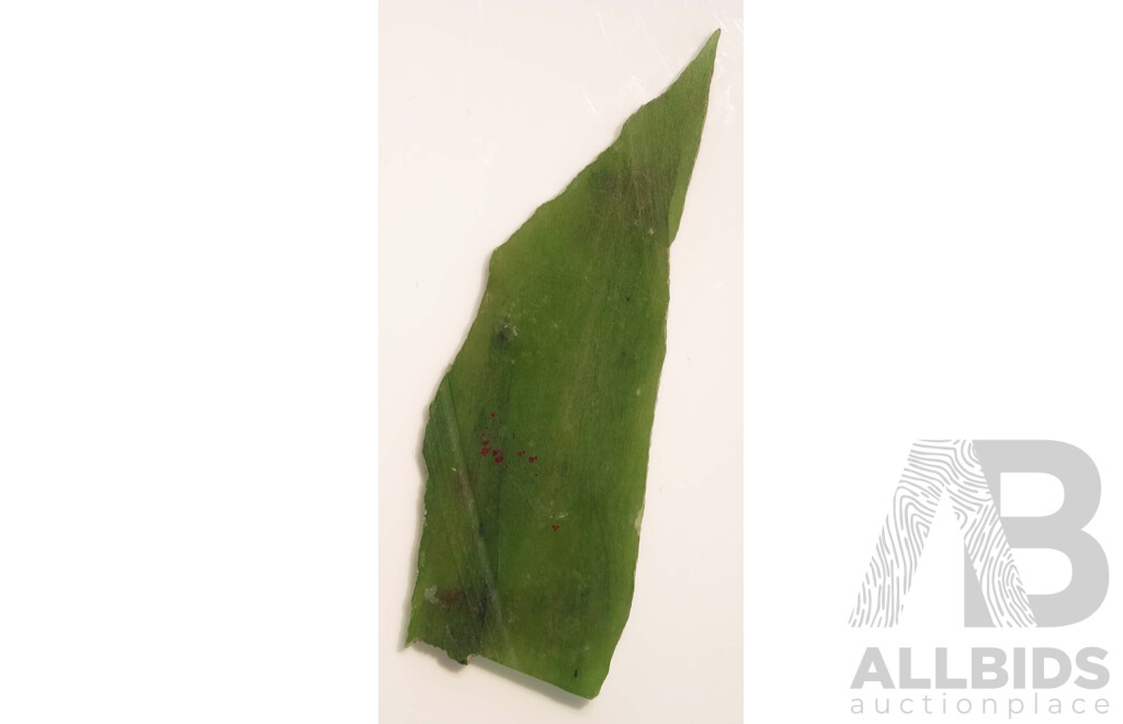 Unusual slice Specimen of natural Nephrite JADE