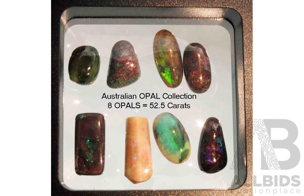 Collection of 8 Solid Australian OPALS