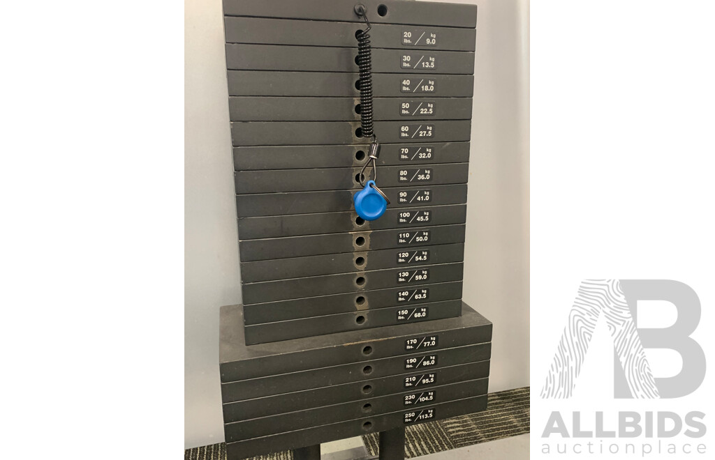 Precor Commercial  Weight Stack Pulldown Machine 304
