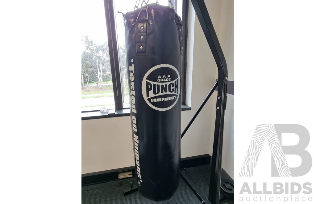 Boxing Bag Stand and AAA Grade Punch Equipment Boxing Bag