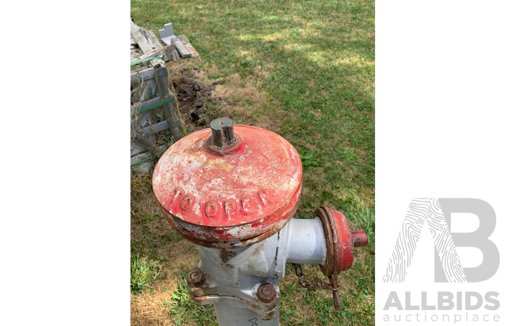 Vintage Cast Fire Hydrant