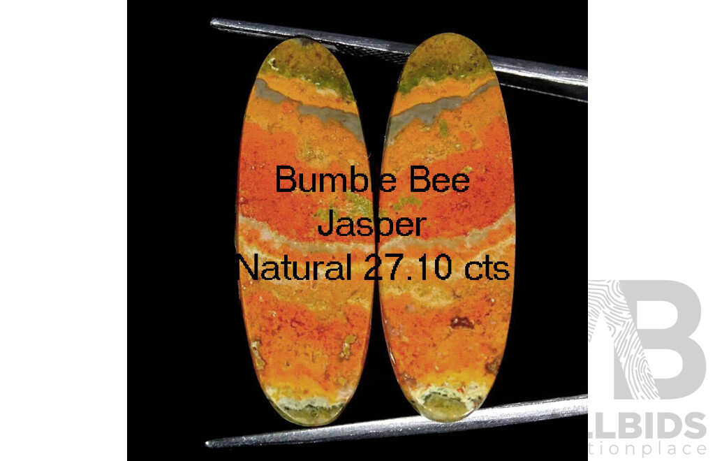 Bumble-Bee JASPER - Natural