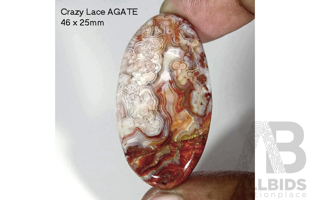 Crazy Lace AGATE
