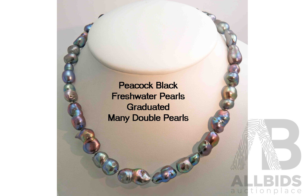 Necklace of peacock-black Freshwater Pearl Cultured Pearls