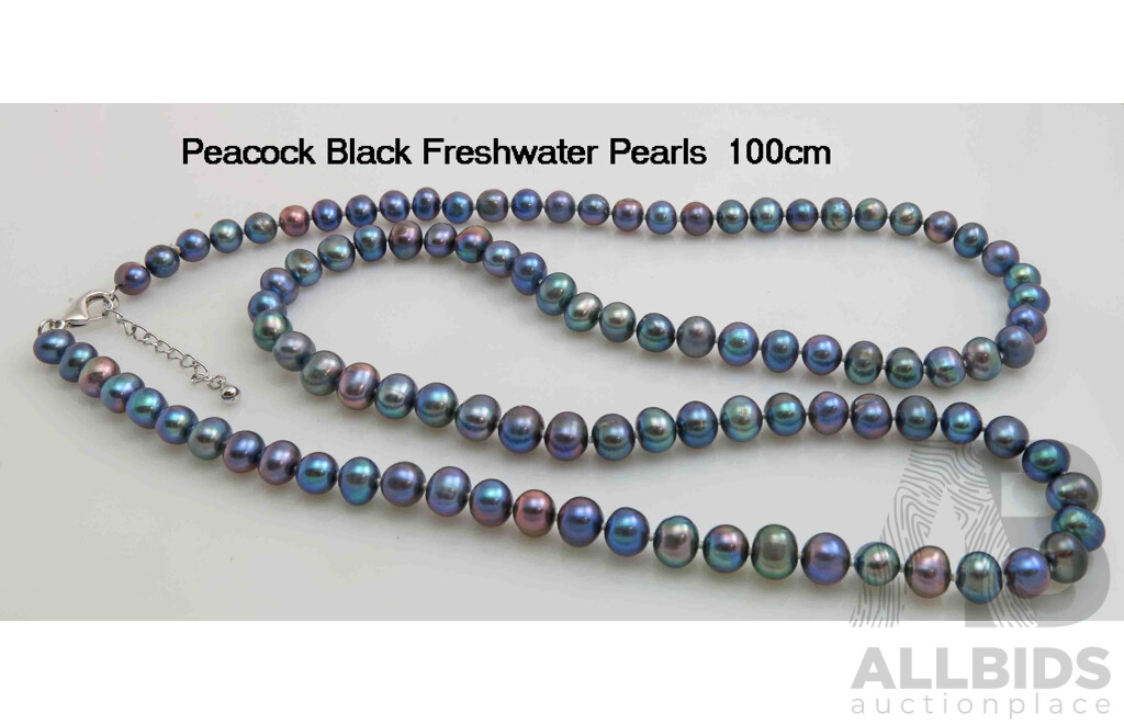 Extra Long Necklace of Peacock Black Freshwater Pearl Cultured Pearls