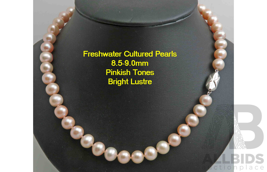 Necklace of large Freshwater Cultured Pearls