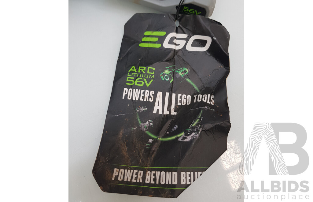EGO (CS1800E) Cordless Power + Chain Saw Skin - Missing Bar