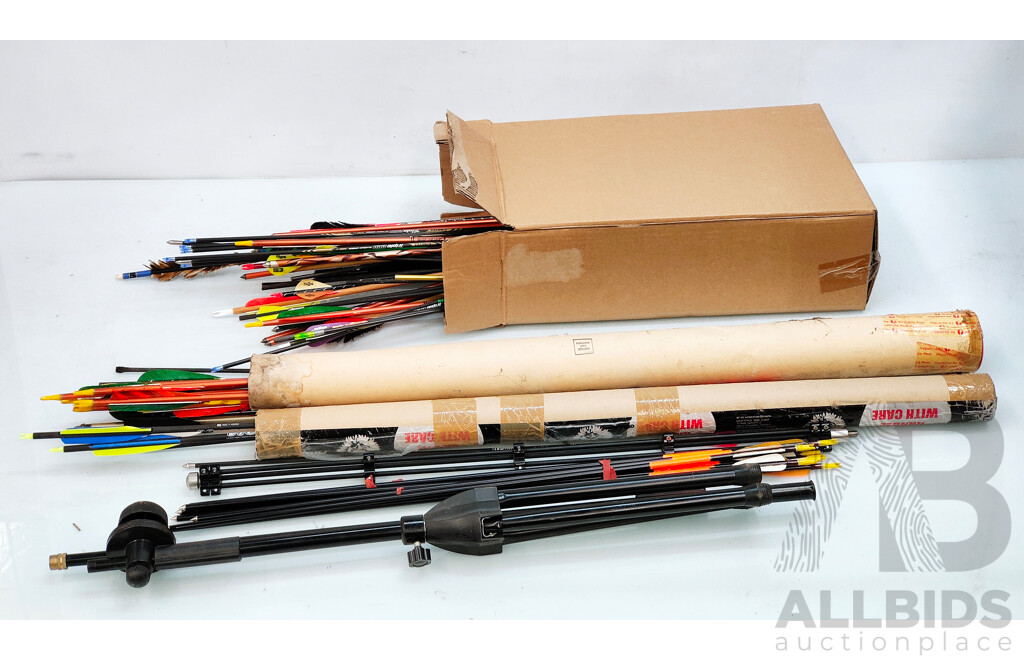 Lot of More Than 50 Arrows of Different Sizes (Wood and Carbon)