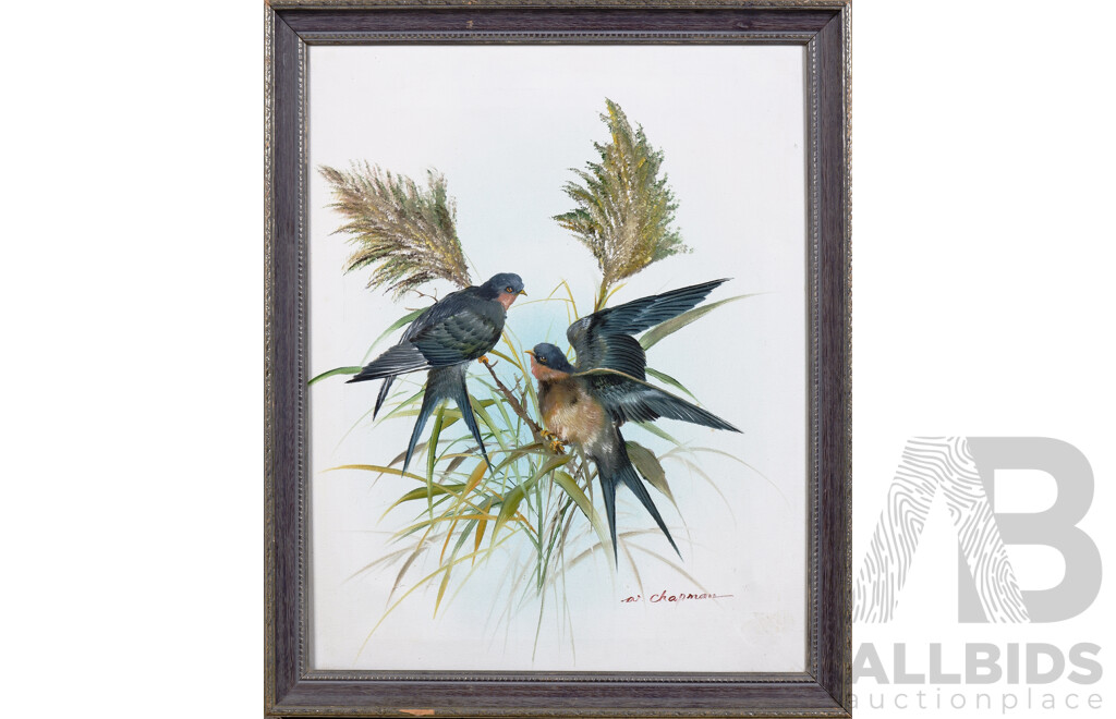 W. Chapman, Bird Study, Oil on Canvas