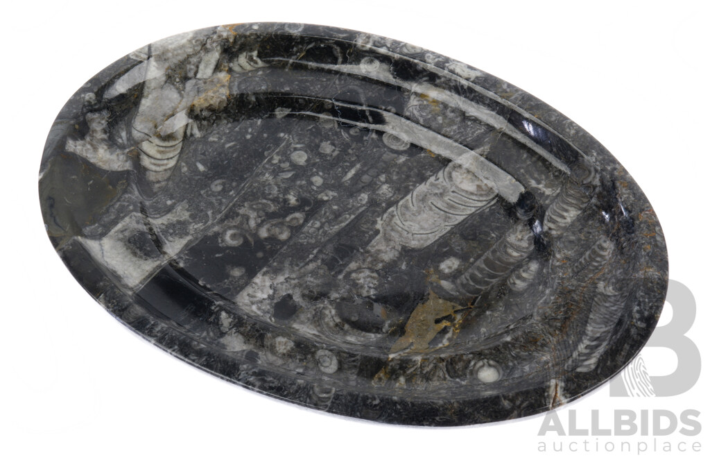 Polished Fossilized Oval Platter Made From Moroccan Orthoceras Fossils