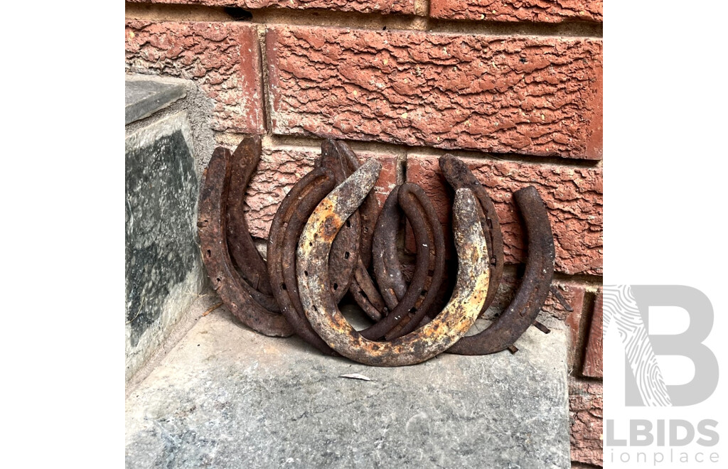Collection of Vintage Horse Shoes