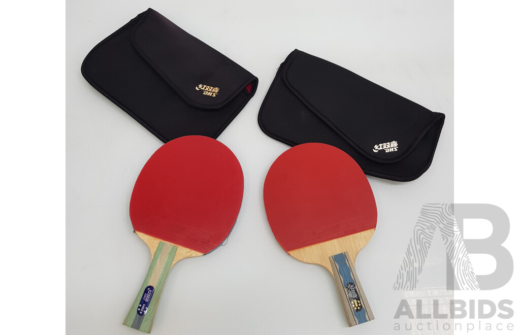 Pair of DHS Table Tennis Paddles