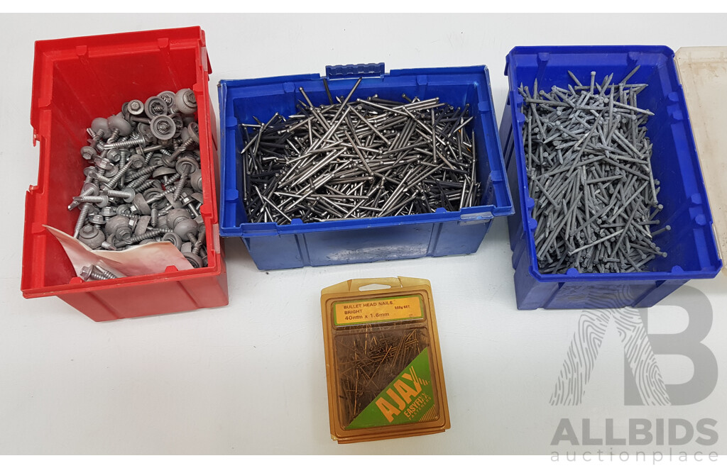 Assorted Sets of Nails and Screws