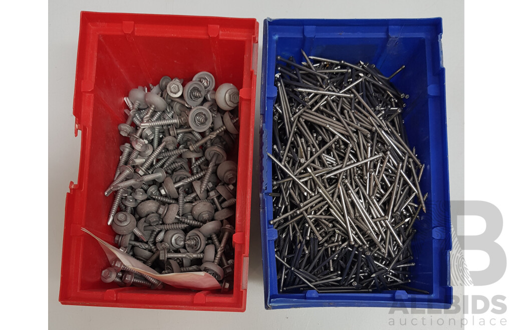 Assorted Sets of Nails and Screws