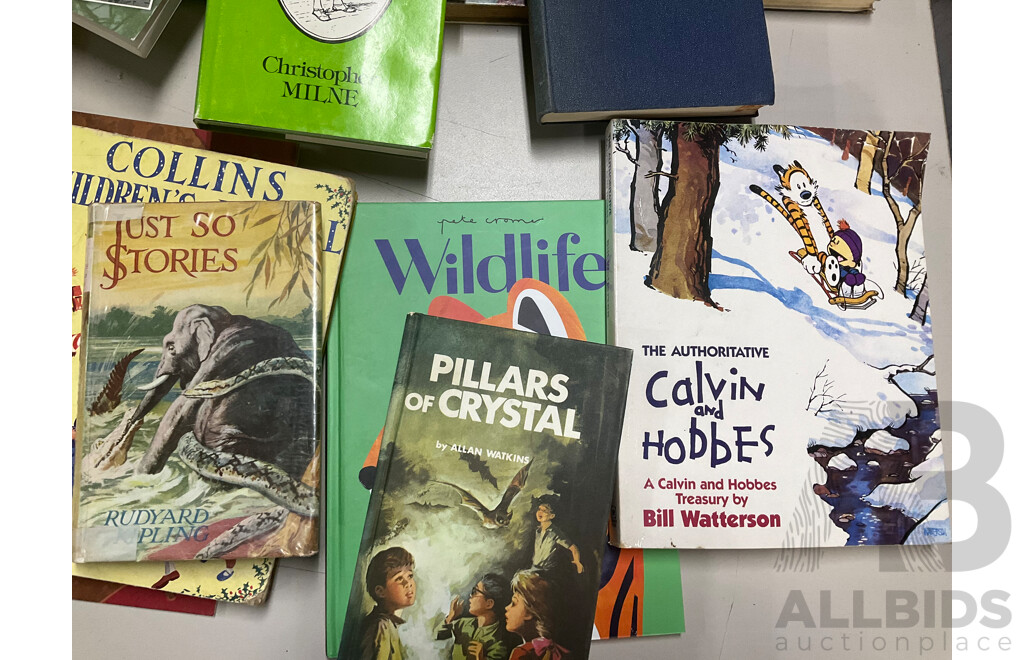 Collection of Vintage and Contemporary Children's Books Including Dragon and Wizard Themes, the Authoritative Calvin & Hobbs, the Enchanted Places, Christopher Milne, the Pirate Omnibus, and More