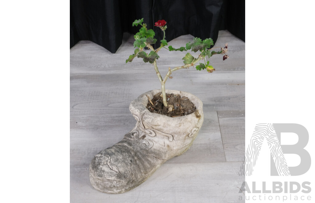 Vintage Concrete Boot Planter with Geranium