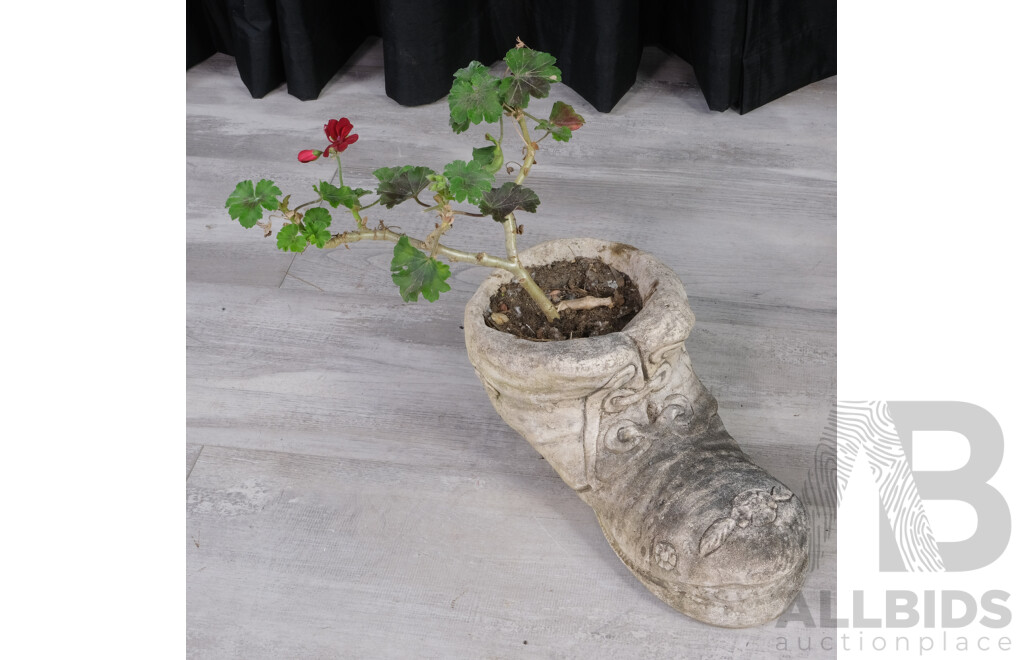 Vintage Concrete Boot Planter with Geranium