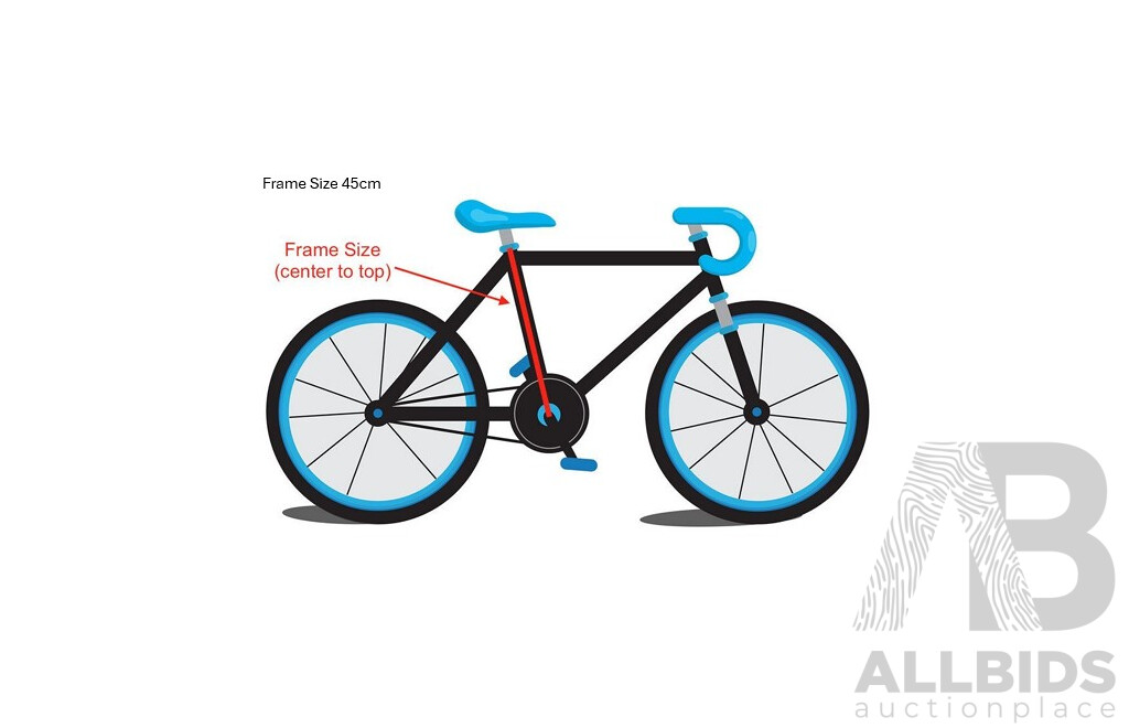 FLIGHT Traverse 2 Mountain Bike