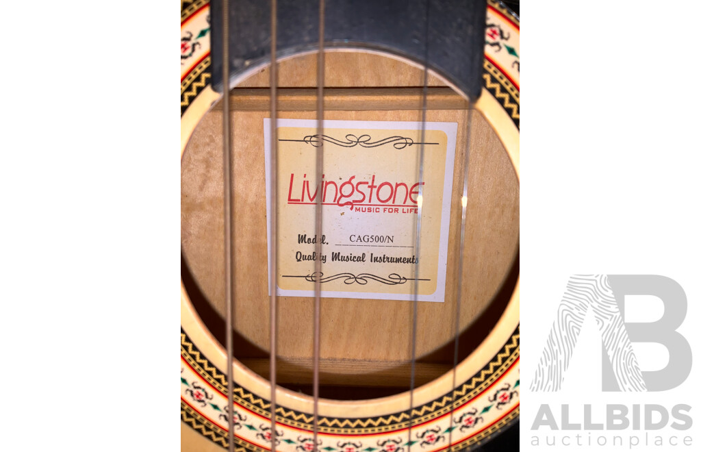 LIVINGSTON Acoustic Guitar with Case