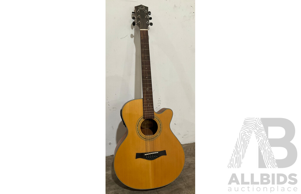 TRIBUTE Acoustic Guitar W/ Maton Case
