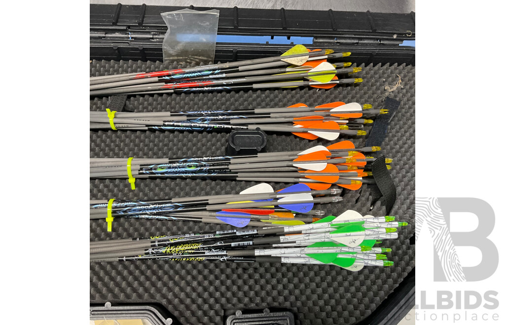 Assorted of MUTINY Arrows  with CAMECHANGER LR-400A Laser Range Finder in Carry Case