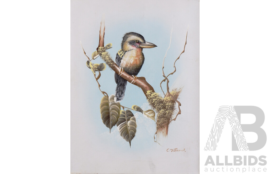 C. Jeffares, Kookaburra, Acrylic on Canvas together with an unsigned Aboriginal painting (2)