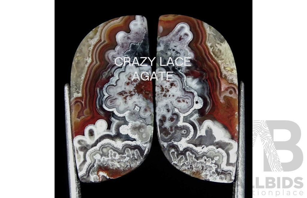 Natural Crazy Lace Agate PAIR