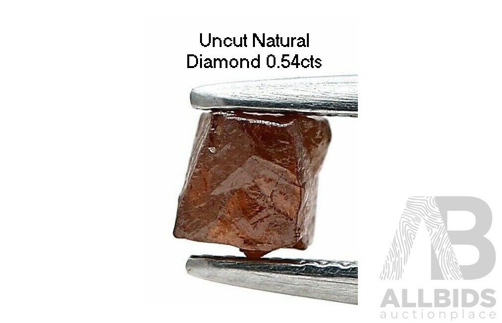 Uncut Rough DIAMOND - Half Carat