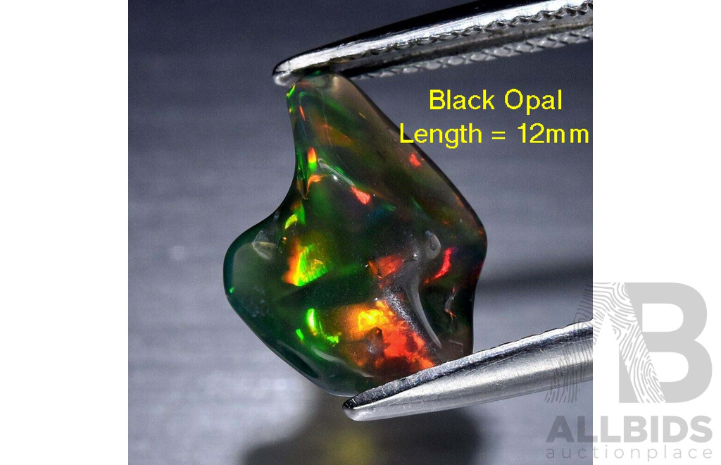 Natural OPAL - Black - Treated