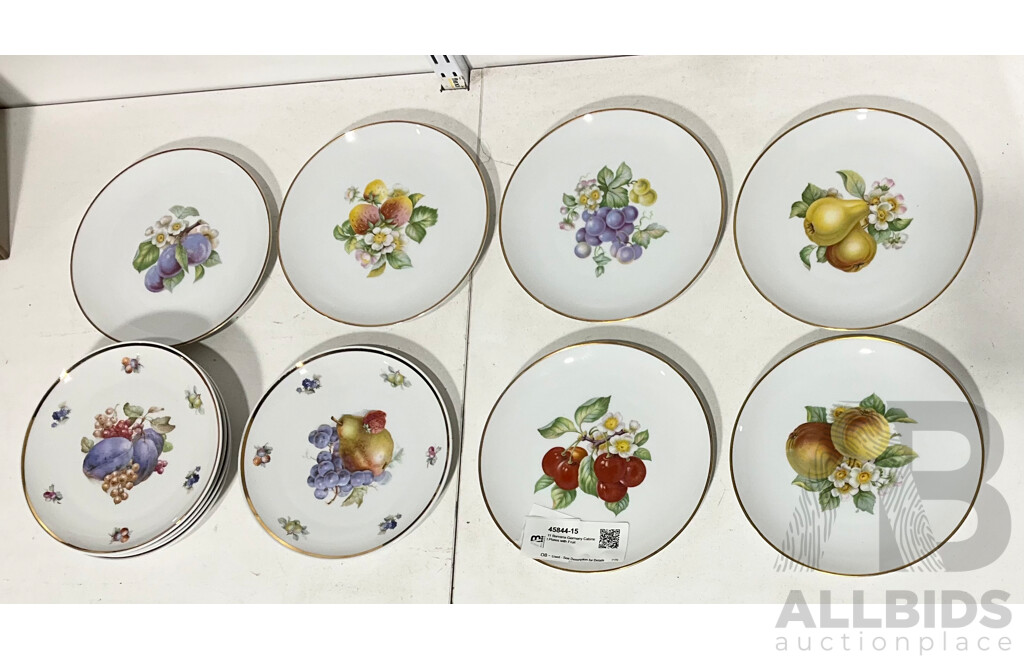 11 Barvaria Germany Cabinet Plates with Fruit