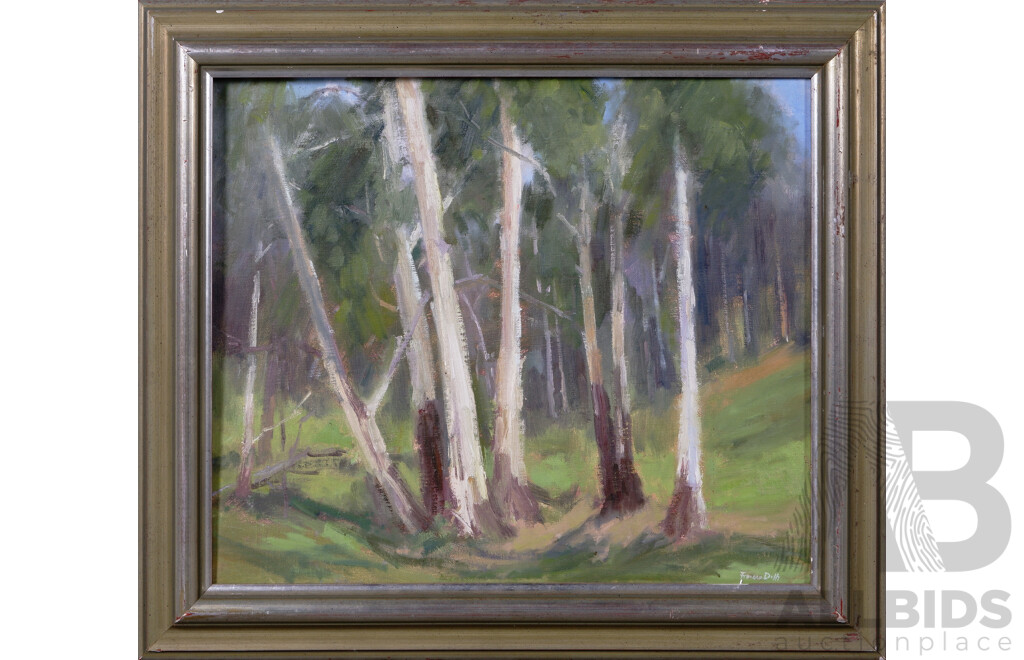 Frances Duffy (20th Century, Australian,1927-1996), Gum Trees, Oil on Canvas, 65 X 75 cm