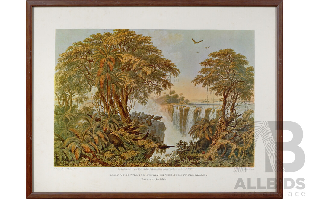 Thomas Baines, (19th Century, British-South African,1820-1875), The Falls From the East End of the Chasm to Garden Island and Herd of Buffaloes to the Edge of the Chasm, Reproduction of Original Limited Lithograph, 42^x 53 cm (larger Frame) (2)