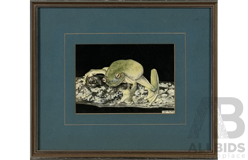 Karen Wynn-Moylan, Red Eyed Green Tree Frog, Watercolour, 29 x 34 cm (frame)