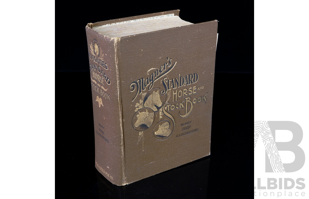 Magners Standard Horse and Stock Book, The Saalfield Publishing Co, 1907, Embossed Hardcover