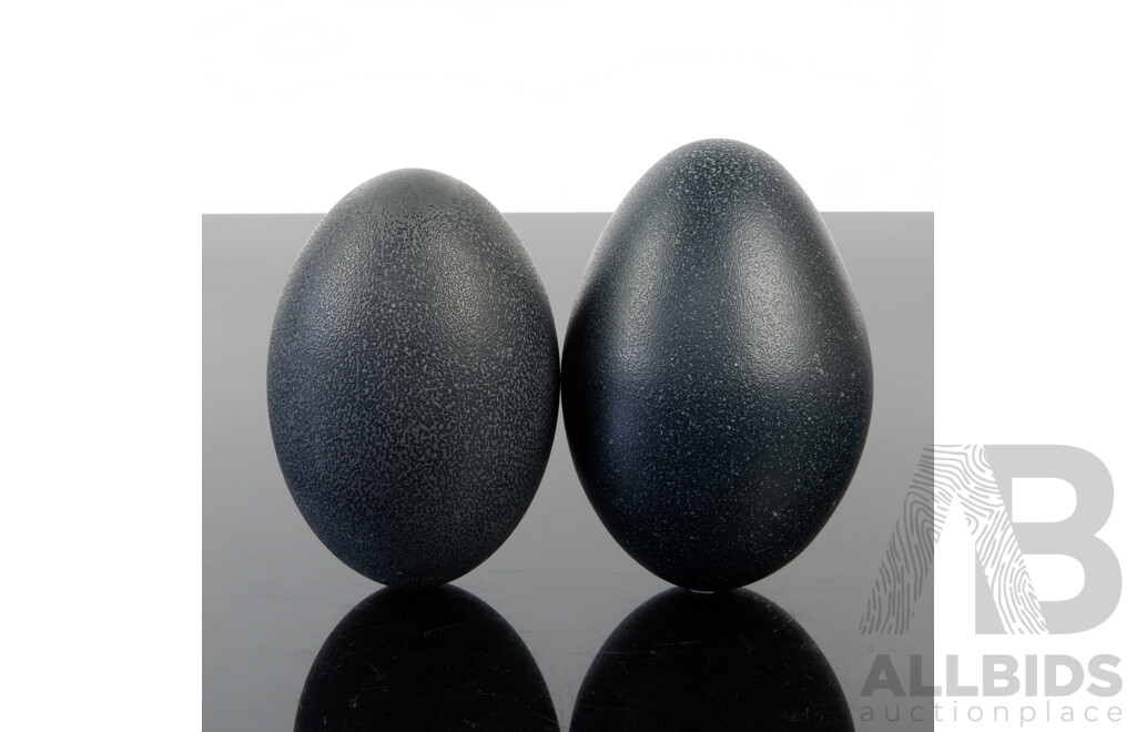 Two Hollow Blown Emu Eggs