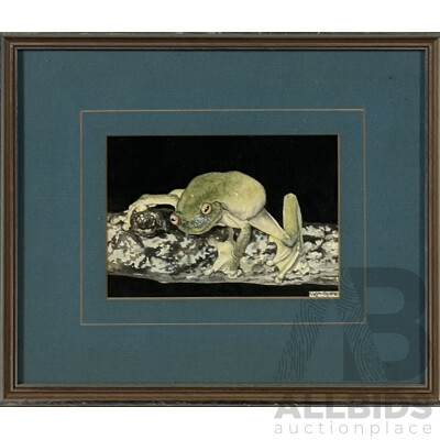 Karen Wynn-Moylan, Red Eyed Green Tree Frog, Watercolour, 29 x 34 cm (frame)