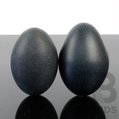 Two Hollow Blown Emu Eggs