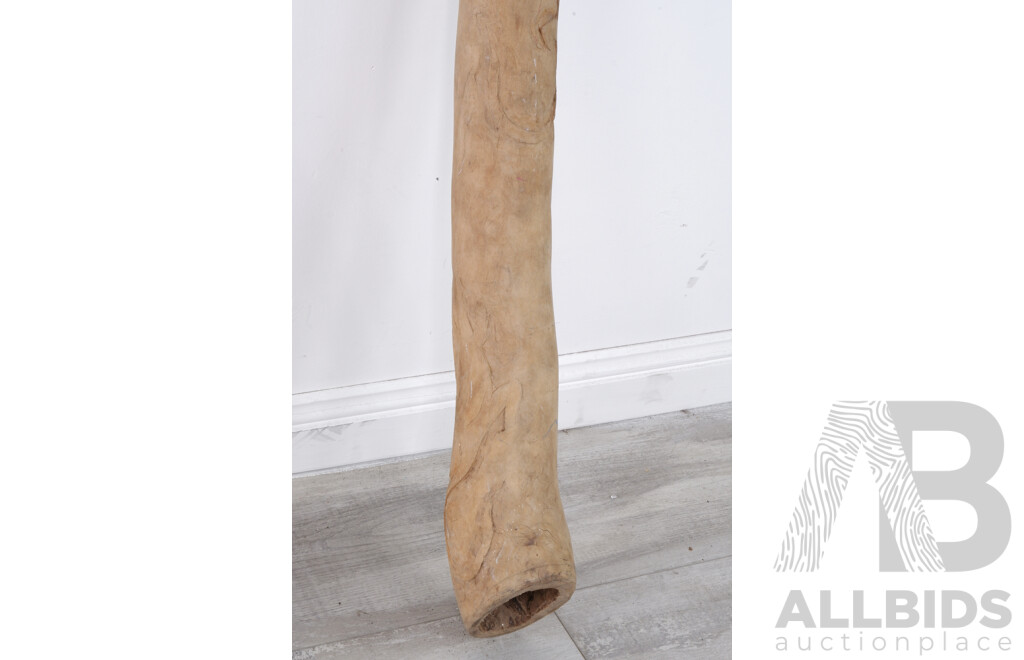 Hand Made Termite Hollowed Handwood Australian Indigenous Didgeridoo with Carved Goanna Decoration